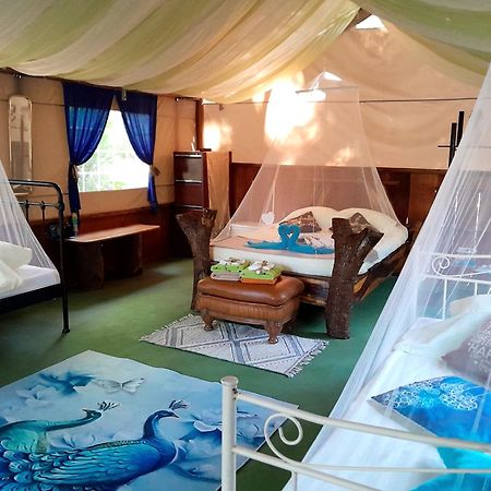 Fully Furnished Family Jungle Tent, Latino Glamping Paquera Exterior photo