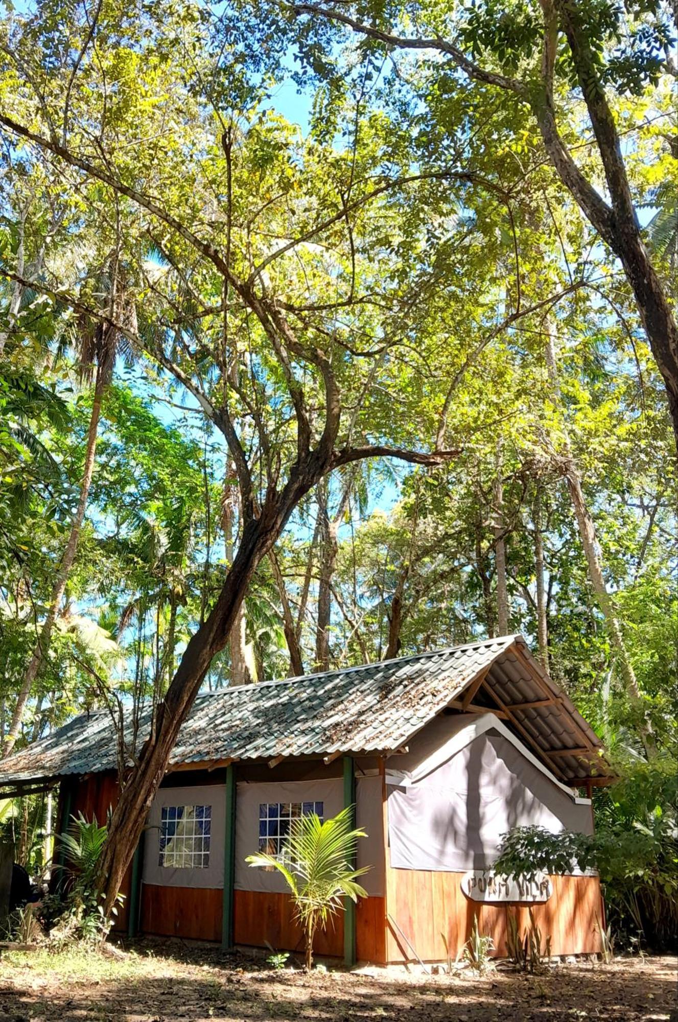 Fully Furnished Family Jungle Tent, Latino Glamping Paquera Exterior photo