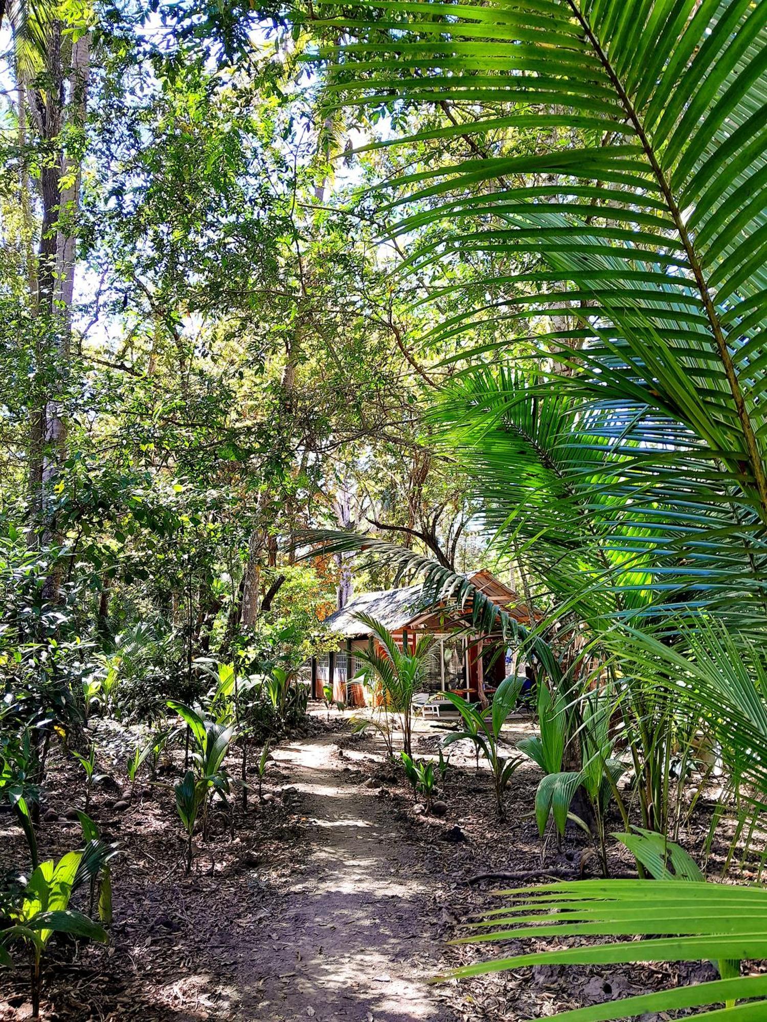 Fully Furnished Family Jungle Tent, Latino Glamping Paquera Exterior photo